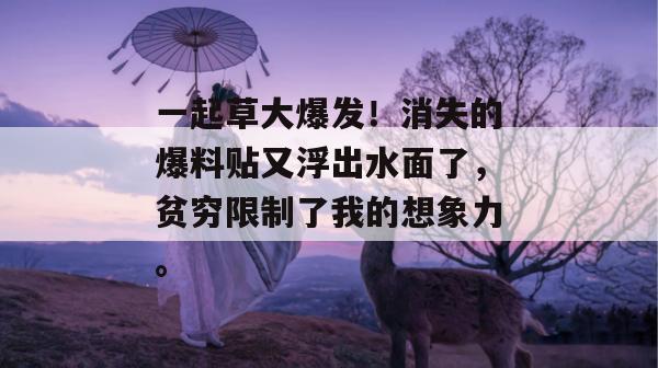 一起草大爆发！消失的爆料贴又浮出水面了，贫穷限制了我的想象力。